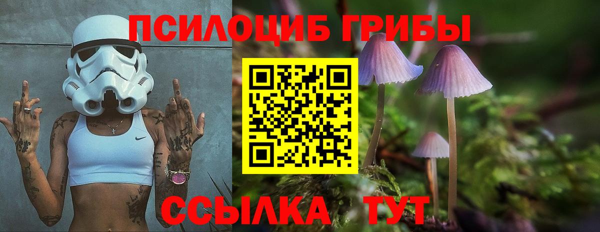 даркнет сайт  Вход с VPN  Мирный  Галлюциногенные грибы мицелий 